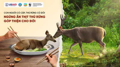 Phát động chiến dịch “Ngừng ăn thịt thú rừng, góp thiện cho đời”