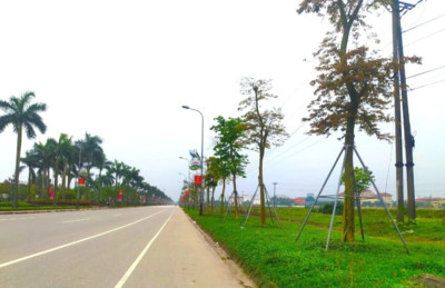 Hà Tĩnh: Bộ Công an yêu cầu rà soát, báo cáo về các dự án cây xanh