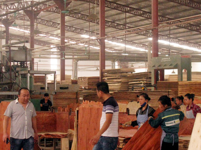 Sớm có giải pháp hoàn thiện hệ thống xử lý nước thải tại Cụm công nghiệp Nam Quang