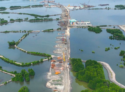 Đồng Nai cần chuyển đổi 3ha đất rừng để xây cầu Phước An