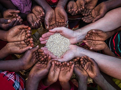 OCHA: Cảnh báo nạn đói nghiêm trọng nhất thế giới tại Sudan