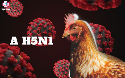 Bộ Y tế thông tin về trường hợp mắc cúm A (H5N1) tử vong
