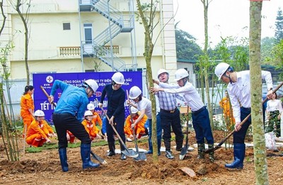 Công ty Điện lực Thanh Hóa phát động Tết trồng cây Xuân 2024