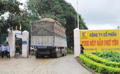 Phú Yên: Xử phạt Công ty CP Tinh bột sắn Phú Yên 3,39 tỉ đồng vì vi phạm về môi trường