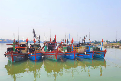 Quảng Bình: Hỗ trợ kinh phí cho các tàu đánh bắt hải sản xa bờ