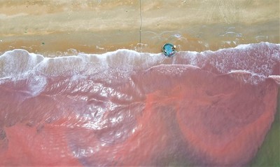Hà Tĩnh: Xuất hiện hiện tượng vùng biển có màu nước đỏ sẫm bất thường