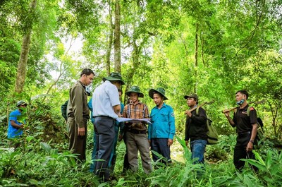 Bán tín chỉ carbon rừng, Việt Nam thu được 51,5 triệu USD