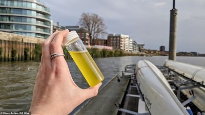 Anh: Sinh vật dưới nước dương tính với ma túy trong nước thải