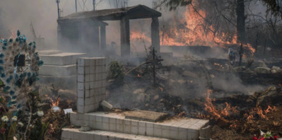Mexico: Hàng trăm vụ cháy rừng bùng phát, ít nhất 4 người thiệt mạng