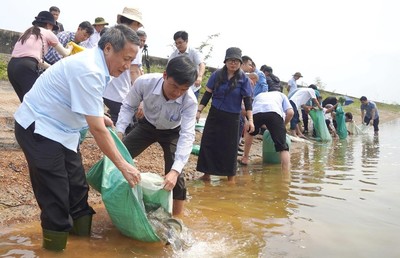 Quảng Trị: Thả cá giống, tái tạo nguồn lợi thủy sản Hồ Nghĩa Hy