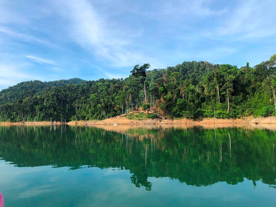 Quảng Nam khai thác “mỏ vàng” tín chỉ carbon rừng: Cơ hội lớn nhưng còn nhiều vướng mắc