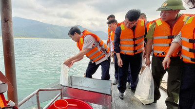 Hạ Long: Thả cá giống tái tạo nguồn lợi thủy sản hồ Yên Lập