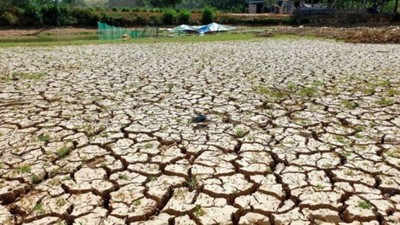 Giải pháp ứng phó hạn, mặn mùa khô năm 2024