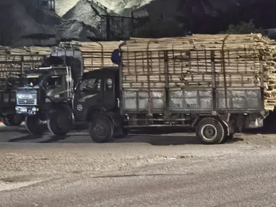 Bình Định: Cần xử lí hoạt động xe tải chở gỗ tại công ty TNHH Đức Hải gây mất ATGT