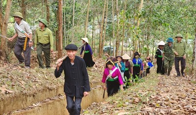 Tuần Giáo (Điện Biên): Chi trả gần 92,5 tỷ đồng tiền dịch vụ môi trường rừng