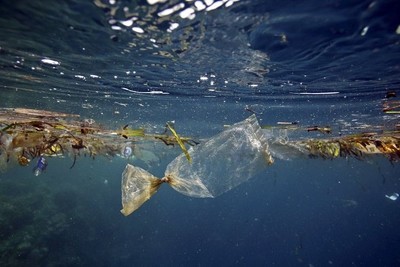 Khoảng 11 triệu tấn rác thải nhựa gây ô nhiễm đang nằm sâu dưới đáy biển