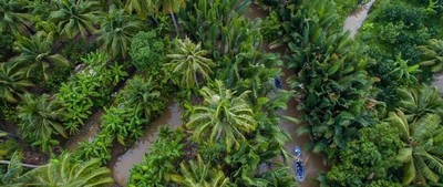 Vai trò của công nghệ viễn thám trong giám sát, xác minh tín chỉ carbon rừng ở Việt Nam
