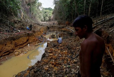 Ô nhiễm thủy ngân đe dọa sức khoẻ cộng đồng bản địa ở vùng rừng Amazon