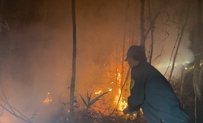 Cà Mau: Vụ cháy rừng tràm sản xuất, gần 40ha rừng bị thiệt hại
