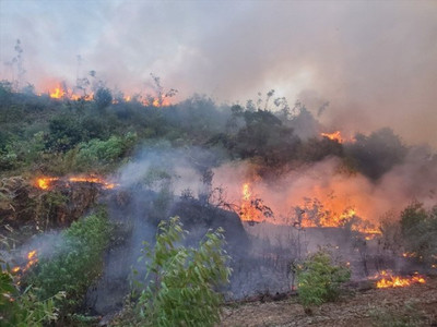 Từ đầu mùa khô đến nay, Phú Quốc xảy ra 12 vụ cháy rừng