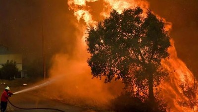 Miền Đông Tây Ban Nha cháy rừng dữ dội