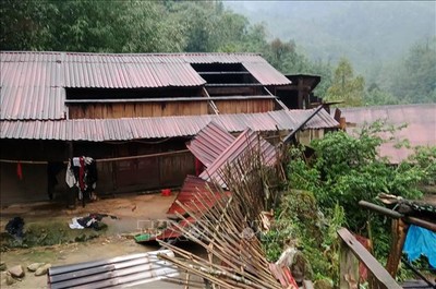 Dông lốc gây nhiều thiệt hại về nhà cửa, hoa màu tại Lào Cai