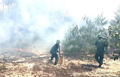 Cháy rừng Phong Điền, Thừa Thiên-Huế