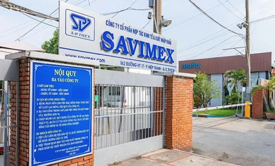 TP.HCM: Chỉ đạo thu hồi đất công do Công ty Savimex chiếm dụng