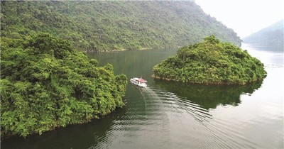 Tuyên Quang phê duyệt Đề án du lịch sinh thái rừng phòng hộ Na Hang