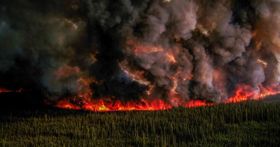 Canada đối mặt một mùa cháy rừng dữ dội do nắng nóng và khô hạn
