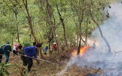 Yên Bái yêu cầu tăng cường các biện pháp cấp bách phòng cháy, chữa cháy rừng