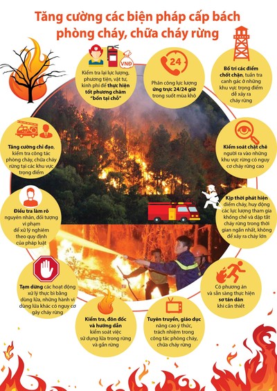 Nghệ An: Chú trọng công tác bảo vệ, phòng cháy chữa cháy rừng