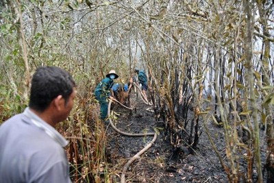 Cơ bản dập tắt đám cháy lớn tại rừng tràm ở Giang Thành, Kiên Giang