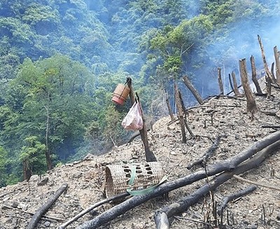 Quảng Trị: Ứng dụng chuyển đổi số trong quản lý bảo vệ rừng