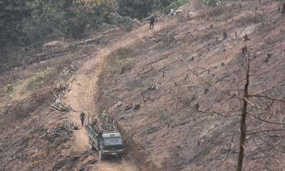 Xem xét trách nhiệm tập thể, cá nhân để xảy ra phá rừng tại Lục Nam, Bắc Giang