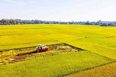 Long An: Chuyển mục đích sử dụng đất làm cụm công nghiệp Tân Phú