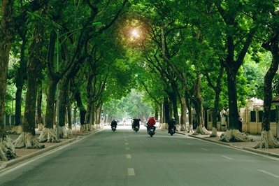 Bộ Công an yêu cầu Quảng Ngãi cung cấp tài liệu các dự án trồng cây xanh đô thị