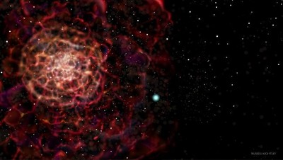 Những ngôi sao lùn trắng đói khát: Giải quyết câu đố về nhiễm kim loại sao