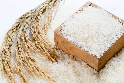 Nhật Bản: Dự trữ gạo trước nguy cơ nắng nóng kéo dài