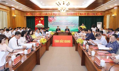 Bắc Giang tổ chức hội nghị xúc tiến tiêu thụ vải thiều sang thị trường Trung Quốc