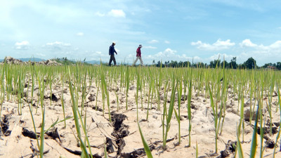 Phú Yên: Hơn 6.000 hộ dân thiếu nước sinh hoạt do nắng nóng kéo dài