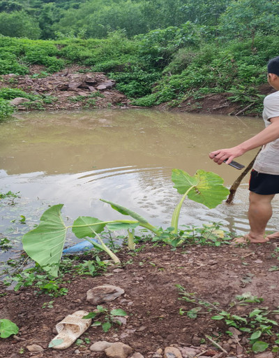 Lục Ngạn- Bắc Giang: Đuối nước thương tâm làm 3 ông cháu tử vong