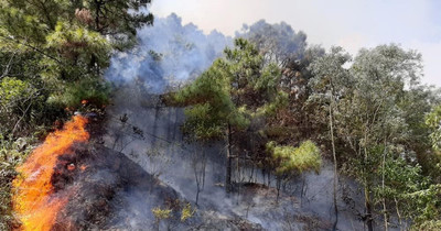 Quảng Nam: Quyết liệt các biện pháp cấp bách phòng cháy, chữa cháy rừng