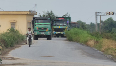 Thái Bình: Cần kiểm soát đoàn xe trọng tải lớn uy hiếp an toàn đê sông Luộc