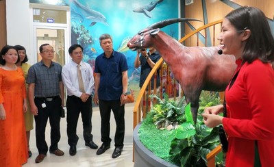 Khai trương Bảo tàng Đa dạng sinh học cấp tỉnh đầu tiên tại Quảng Nam