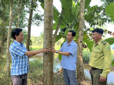 Cà Mau: Hoàn tất thủ tục giao đất giao rừng trong tháng 6