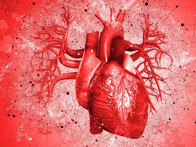 WHO: Bệnh tim mạch khiến 10.000 người châu Âu tử vong mỗi ngày