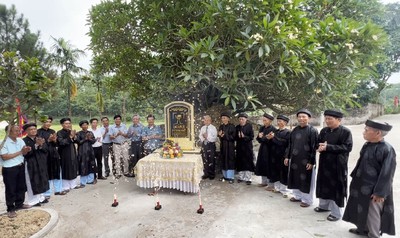 Vĩnh Phúc: Đón Bằng công nhận Cây Di sản Việt Nam cho 2 cây Đại hoa trắng hơn 300 năm