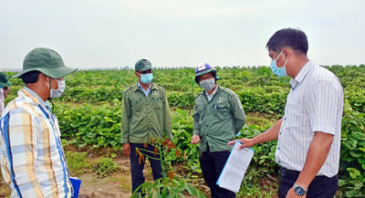 Đồng Nai thắt chặt kiểm soát việc sử dụng đất trong lĩnh vực nông nghiệp và lâm nghiệp.