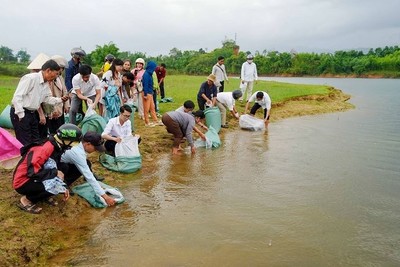 Thúc đẩy vai trò của phụ nữ trong bảo vệ môi trường và phát triển bền vững